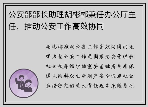 公安部部长助理胡彬郴兼任办公厅主任，推动公安工作高效协同