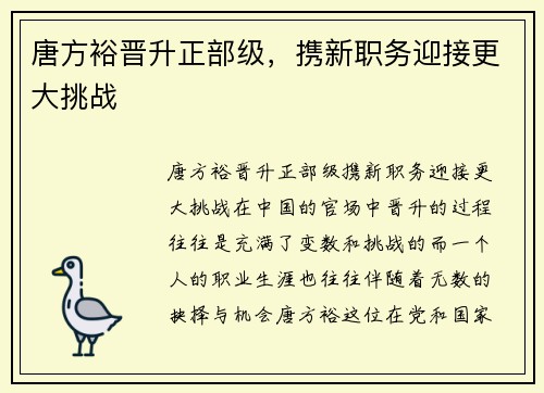 唐方裕晋升正部级，携新职务迎接更大挑战