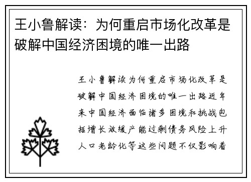 王小鲁解读：为何重启市场化改革是破解中国经济困境的唯一出路