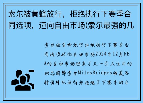 索尔被黄蜂放行，拒绝执行下赛季合同选项，迈向自由市场(索尔最强的几个状态)